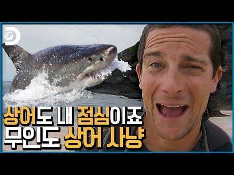 무인도에서 굶고 있는 베어그릴스 앞에 상어가 나타났다! [Man vs Wild]